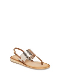 Coconuts by Matisse Valenti Sandal
