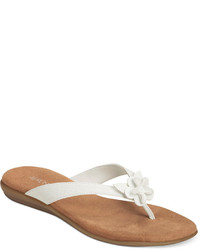 Aerosoles Rosoles Branchlet Flip Flop Sandals