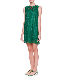 Dolce & Gabbana Embellished Dragonfly Lace Shift Dress Light Musk Green