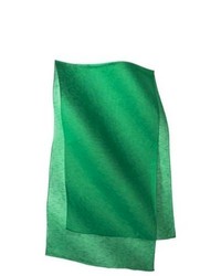 Saison Limited Xhilaration Solid Fashion Scarf Green