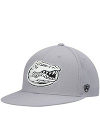 Top of the World Gray Florida Gators Fitted Hat