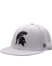 Top of the World Gray Michigan State Spartans Fitted Hat