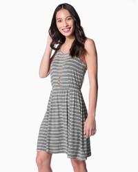 Charming charlie Mara Striped Knit Dress