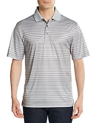 Variegated Stripe Polo Shirt