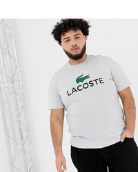 Lacoste Large Croc Logo T Shirt In Grey