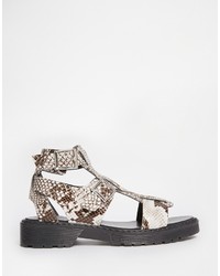 Asos Collection Faydell Gladiator Sandals