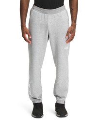 The North Face Tech Pants In Light Grey Heather At Nordstrom