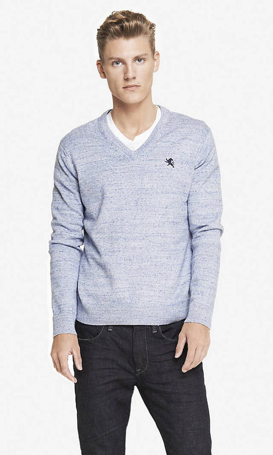 Express Nep Knit Small Lion V Neck Sweater, $59 | Express | Lookastic