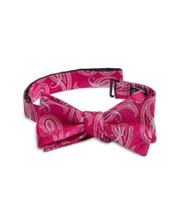 Nordstrom Diley Paisley Silk Bow Tie