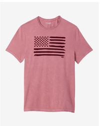 Express Brushed Flag Crew Neck Graphic Tee