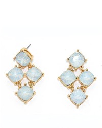 Wild Lilies Jewelry Light Blue Earrings