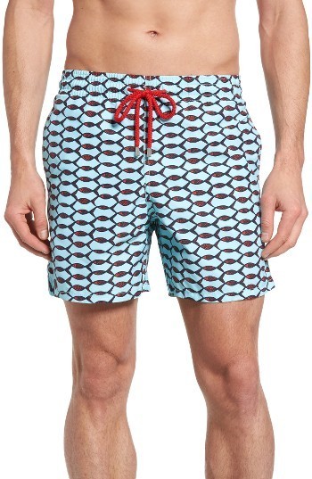 Fishnet store swim shorts