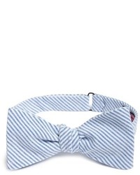Light Blue Vertical Striped Bow-tie