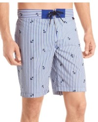 Light Blue Vertical Striped Shorts