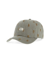 The North Face Washed Norm Baseball Cap