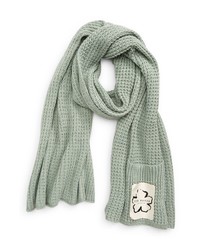 Ted Baker London Bex Dasher Scarf In Light Green At Nordstrom