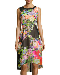 P Luca Floral Print Sleeveless Dress Multi