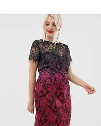 Multi colored Lace Sheath Dress