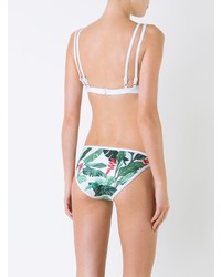 Duskii Oasis Regular Bikini Bottom