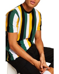Multi colored Vertical Striped Crew-neck T-shirt