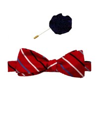 Michelsons Lapel Pin Silk Bow Tie