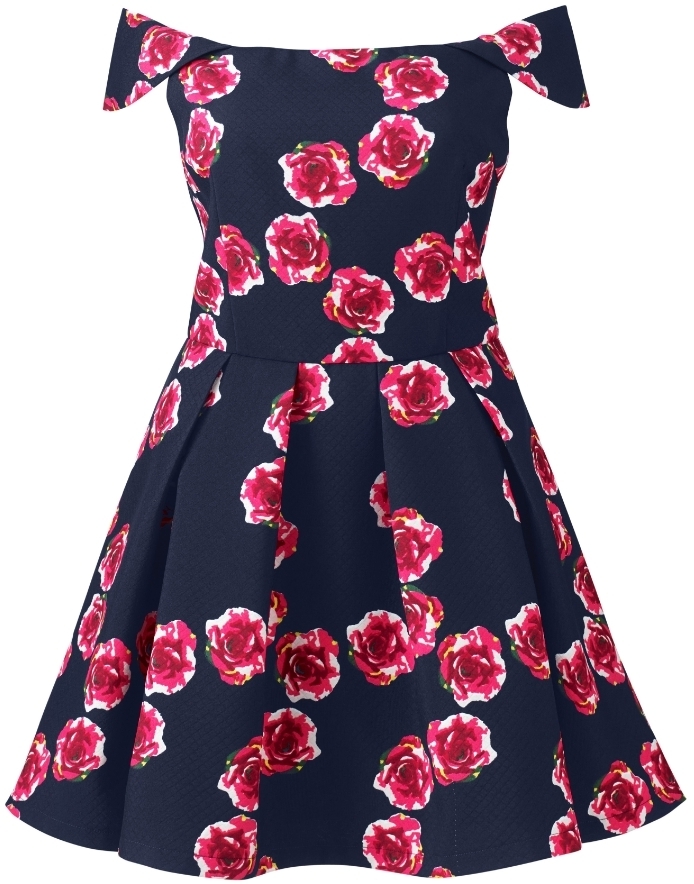 ax paris floral skater dress