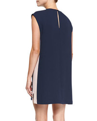 Rebecca Minkoff Lars Shift Dress With Colorblocked Sides
