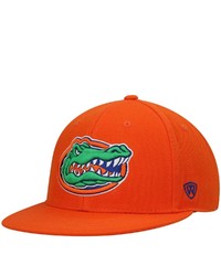 Top of the World Orange Florida Gators Team Color Fitted Hat