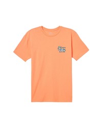 O'Neill Polly Wanna Cotton Graphic Tee In Cantaloupe At Nordstrom