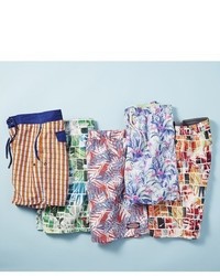 Vineyard Vines Date Palm Leaves Chappy Swim Trunks