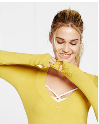 Express Fitted V Neck Sweater
