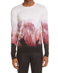 Alexander McQueen Poppy Print Sweater