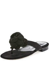 Manolo Blahnik Petala Flat Suede Thong Sandal