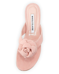 Manolo Blahnik Petala Flat Suede Thong Sandal