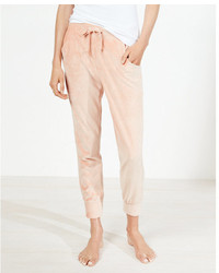 Express One Eleven Velour Jogger Pant