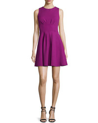 Purple Fit and Flare Dress