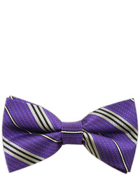 The Tie Bar Crosstrax Stripe Purple