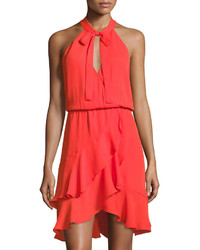 Parker Diane Fit Flare Ruffle Dress Red