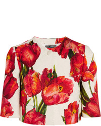 Dolce & Gabbana Cropped Floral Print Cotton Blend Matelass Jacket Red
