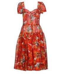 Dolce & Gabbana 34 Length Dresses