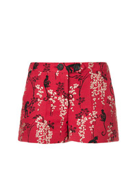 RED Valentino And Floral Embroidered Shorts