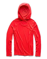 The North Face North Dome Hooded Pullover