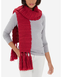 The Limited Chunky Knit Scarf