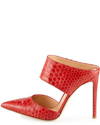 Gianvito Rossi Point Toe Python Mule Red