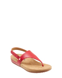 SoftWalk Bolinas V  Sandal