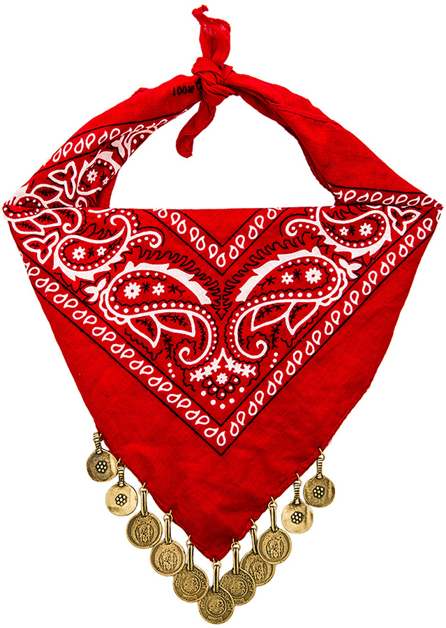 Vanessa Mooney The Harper Coin Bandana Necklace, $105 | Revolve ...
