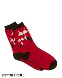 Animal Eype Socks Red