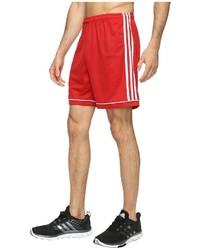adidas Squadra 17 Shorts Shorts
