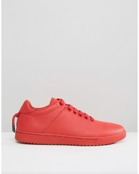 Asos Sneakers In Red With Back Lace And Gold Details