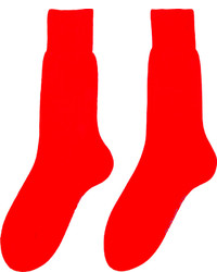 Raf Simons Poppy Red Logo Socks